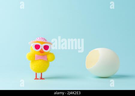 Chicken with white cracked egg on blue background. Easter minimal concept. Stock Photo