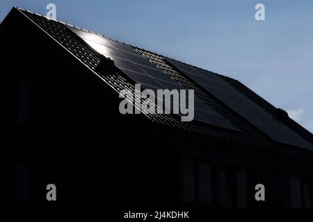 Solar panels mounted on the roofs of a modern new-build house in a street in the Netherlands with sun and blue sky. Sustainable energy Stock Photo