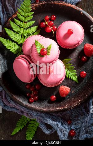 Tasty and sweet red currant macaroons with fern on dark plate. Sweet macaroons made of berries. Stock Photo