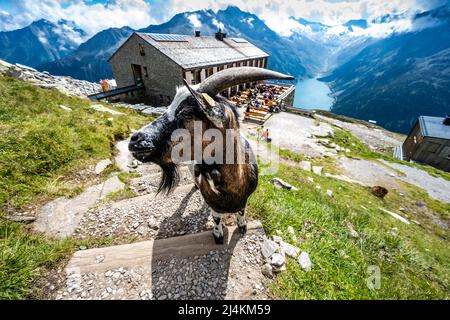 Schlegeisspeicher Wanderung zur Olperer Hütte Stock Photo