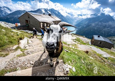 Schlegeisspeicher Wanderung zur Olperer Hütte Stock Photo