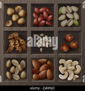 Vector set of different nuts hazelnuts, pistachio, peanuts, cashew, cedar and walnuts top view in wooden box Stock Vector