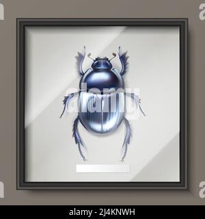 Vector framed dark blue shiny dung beetle hanging on wall Stock Vector