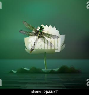 Vector realistic Gomphus vulgatissimus dragonfly sitting on lily flower with blur dark turquoise pond background front view Stock Vector