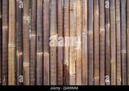 Background of dried bamboo stalks arranged vertically. Copy space. Dry tropical bambusa. Stock Photo