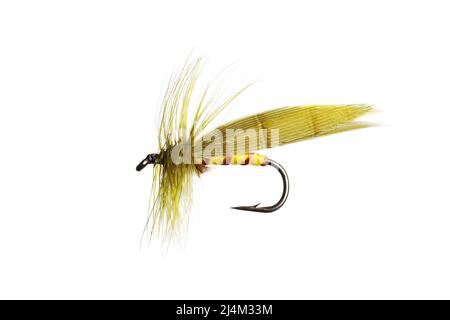 close-up dry fly fishing tackle and accessories Stock Photo - Alamy