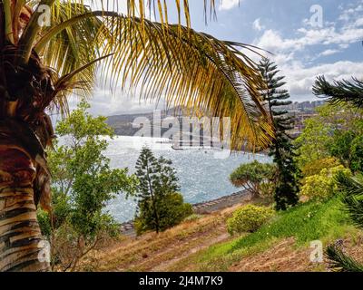 View over the south coast of the Canary Island of Tenerife.IA southern dream Atlantic Ocean, blue sky and lush palm trees on the Canary Island of Tene Stock Photo