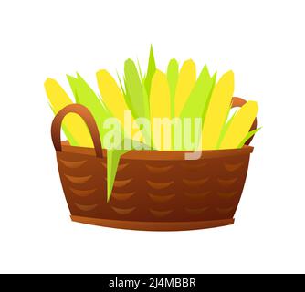 corn plant cultivation with ripe corn cobs vector illustration Stock ...