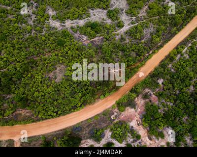 aerial view of dirt road cutting through caatinga forest Stock Photo