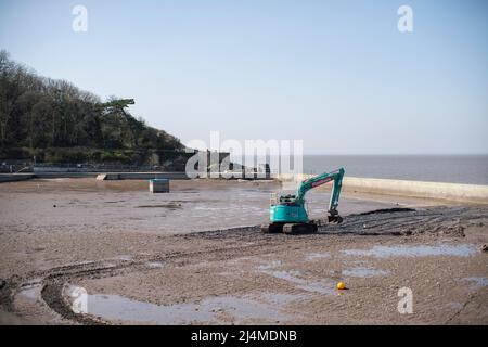 An excavator clears mud and silt from a drained marine lake in Clevedon, Somerset. Stock Photo