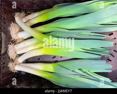 Healthy leeks on display in a retail store. Stock Photo