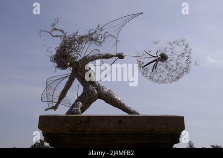 Fairy and Dandelion sculpture - Trentham Gardens, Staffordshire, UK - artist Robin Wright Stock Photo