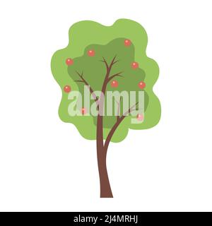 Apple tree with fruits. Harvest season. Template element for design and decoration. Flat vector illustration isolated on white background Stock Vector