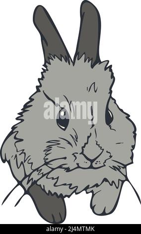 Vector illustration of cute bunny. Portrait of rabbit colored and depicted by a line. Stock Vector