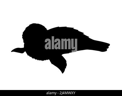 Vector black baby seal silhouette isolated on white background Stock Vector