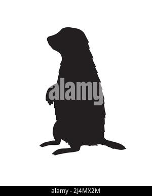 Vector black groundhog marmot silhouette isolated on white background Stock Vector