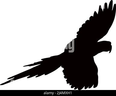 Black silhouette of a parrot on a white background. Vector image. Stock Vector
