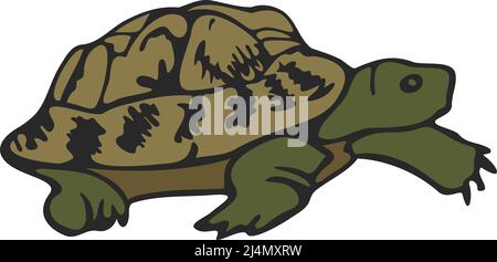 Vector illustration of turtle. Hand drawn tortoise. Stock Vector