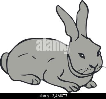 Vector illustration of grey rabbit. Hand drawn isolated bunny. Stock Vector