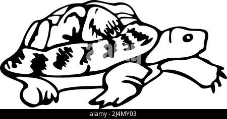 Vector hand drawn illustration of turtle. Black silhouette of tortoise ...