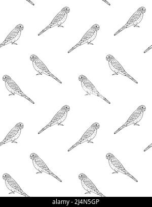 Vector seamless pattern of black budgie and cockatiel parrot silhouette ...