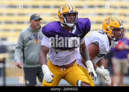 Baton Rouge, LA, USA. 16th Apr, 2022. LSU defensive lineman Maason Smith (0) tries to catch the ball carrier during the final week of spring football practice at Tiger Stadium in Baton Rouge, LA. Jonathan Mailhes/CSM/Alamy Live News Stock Photo