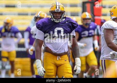 Baton Rouge, LA, USA. 16th Apr, 2022. LSU defensive lineman Maason Smith (0) looks to the sideline for a play during the final week of spring football practice at Tiger Stadium in Baton Rouge, LA. Jonathan Mailhes/CSM/Alamy Live News Stock Photo