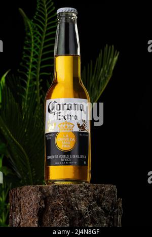 Tallinn, Estonia - March 2022: Editorial photo of Corona Extra beer on dark tropical background Stock Photo