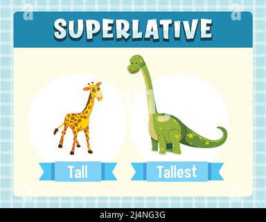 Comparative and Superlative Adjectives for word tall illustration Stock ...