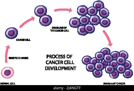 Process of cancer cell development illustration Stock Vector