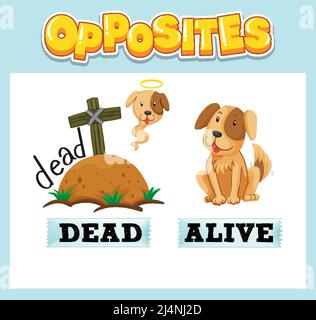 Opposite English words with dead and alive illustration Stock Vector