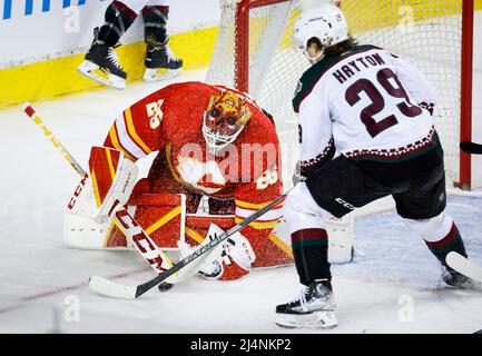 Calgary Flames' Andrew Mangiapane, right, celebrates his goal with  teammates during second period NHL hockey action against the Arizona  Coyotes in Calgary, Saturday, April 16, 2022.THE CANADIAN PRESS/Jeff  McIntosh Stock Photo 
