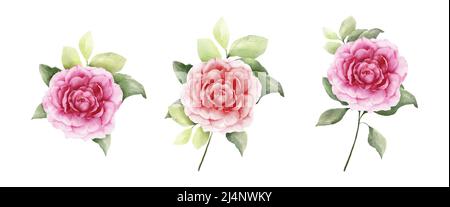 Set of rose bouquet watercolor isolated on white background. Romantic botanical composition for wedding or greeting cards. Stock Vector
