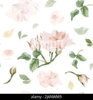 Seamless pattern with hand-painted watercolor bouquets of pink roses and leaves. Botanical pattern vector suitable for decorating wedding backgrounds, Stock Vector