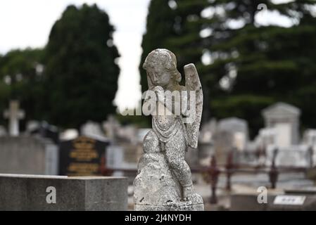 Worn and weathered white sculpture of a child angel, or cherub, with hands clasped in prayer, with a cemetery and many graves in the background Stock Photo