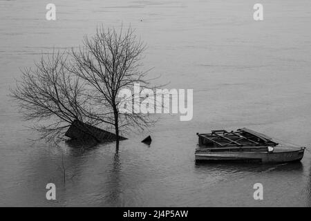 A boat and a tree in the water during the Oka river flood in Tarusa Stock Photo