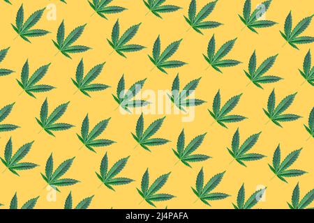 Pattern with Cannabis or hemp leafs on yellow background Stock Photo