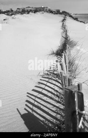 Wooden fence protecting sand dunes at a beach along the coast, a wooden picket fence. Sea defence preventing erosion. Fine art. Stock Photo