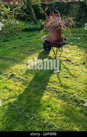 Garden wheelbarrow with incinerator in its bucket in spring sunshine. Stock Photo