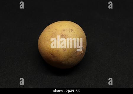 Sapodilla fruit(chikku). On a black background. Stock Photo