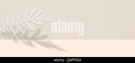 White fern leaf with shadow on a textured paper background with copy space. Stock Photo