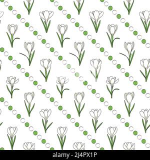 Seamless pattern with white crocus flowers, saffron. Vector background. Stock Vector