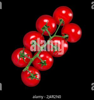 Tomato bunch isolated on solid black background. Top view Stock Photo