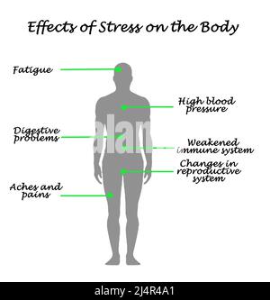 Effects of Stress on the Body Stock Photo - Alamy