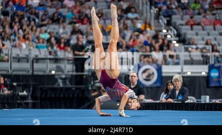 Carly leiter hi-res stock photography and images - Alamy