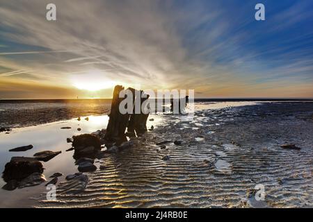 scenic view of wooden poles in the tide flat at low tide Stock Photo