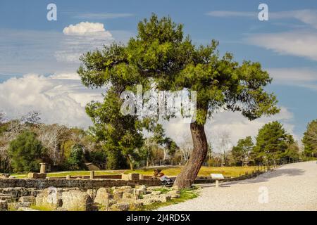 Bright sunny day at ruins in Anciet Olympia Greece - Tourist woman  alone on bench under overspeading cyress tree Stock Photo