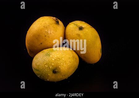 Mangoes isolated in black background. three mangoes. water drops. black background. studio lighting. Stock Photo