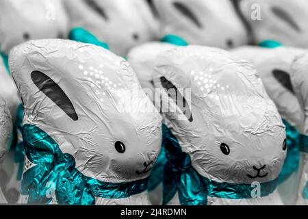 Chocolate Easter bunny candy display - each wrapped in white covering with turqoise ribbons - Close-up and selective focus. Stock Photo