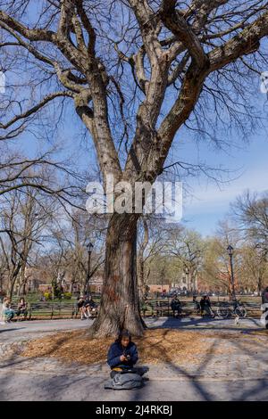 Hare Krishna elm tree, site of first chanting outside of India, Tompkins Square Park, East Village, New York, NY, USA. Stock Photo